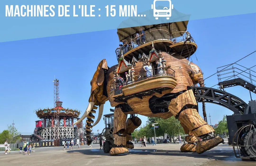 Nouveaute - La Surprenante-1